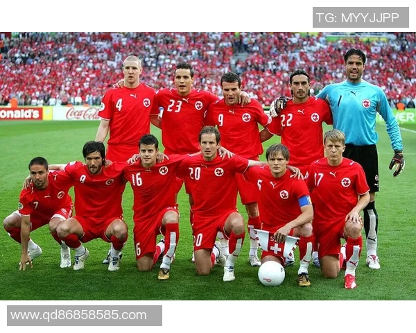 瑞士足球明星盘点他们在国际赛场上的辉煌成就与影响力