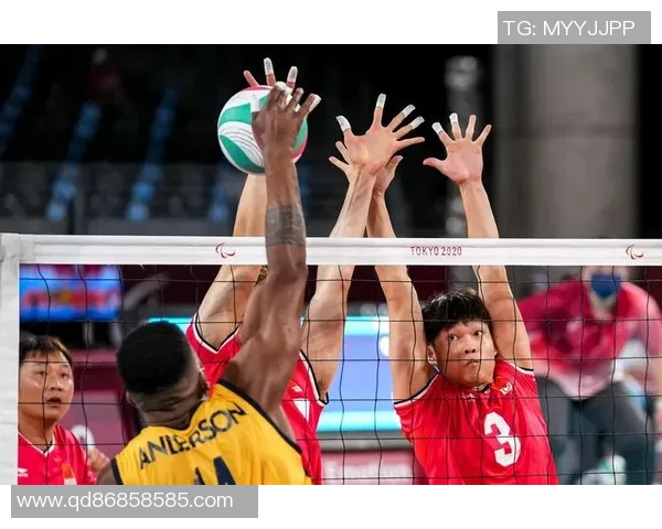 王强独家分享排球心得与技巧助你提升球技的全方位指南