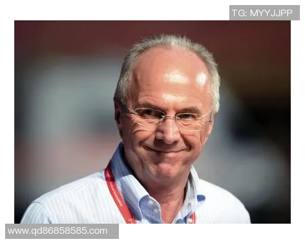 瑞典足球明星有哪些他们的成就与影响力解析